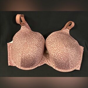 Cacique Blush Animal Print Bra